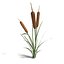 cattail plant 3ds
