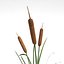 cattail plant 3ds