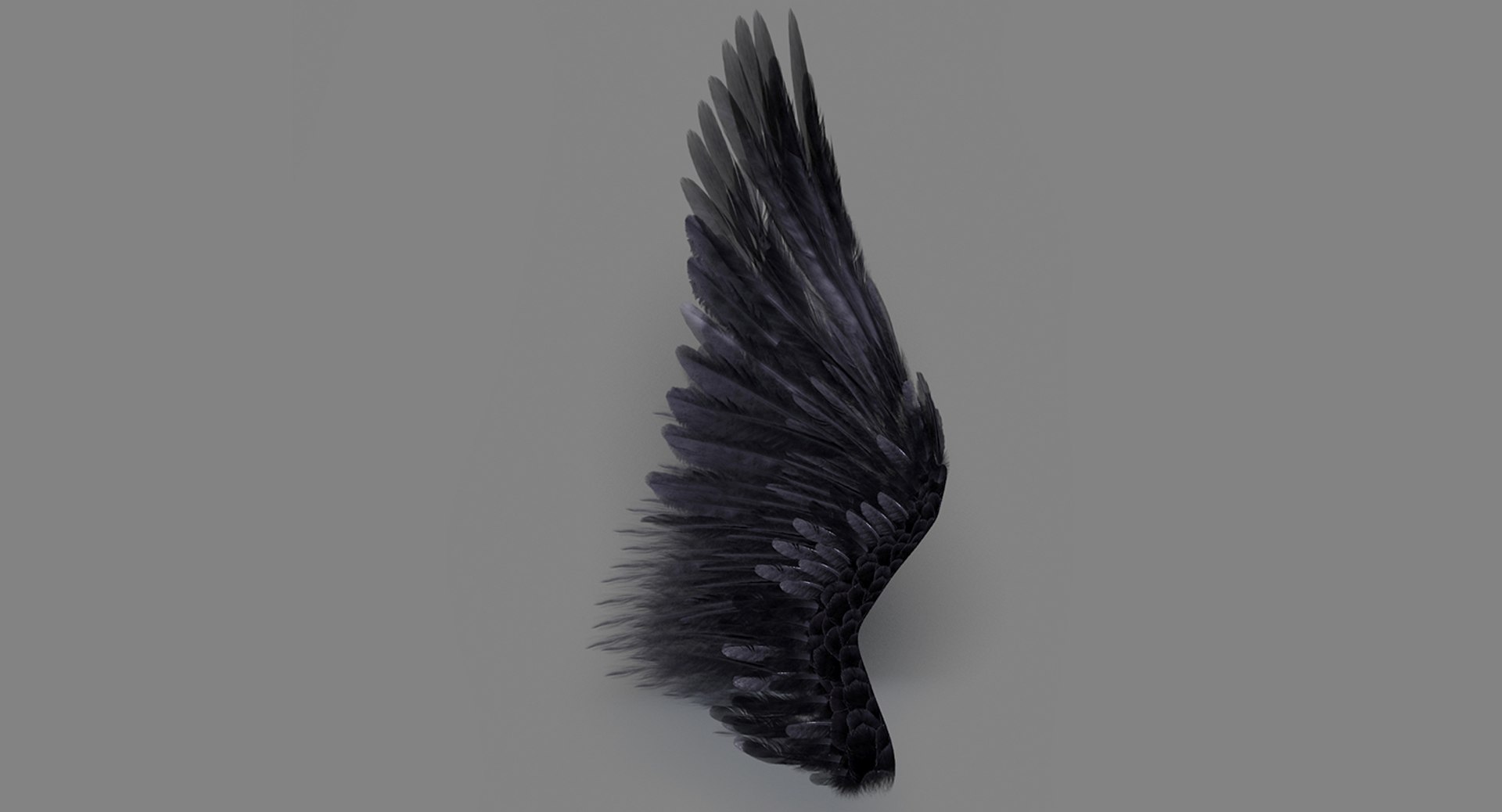 realistic wings 3d model https://p.turbosquid.com/ts-thumb/XO/mWvKux/0KwEl3...