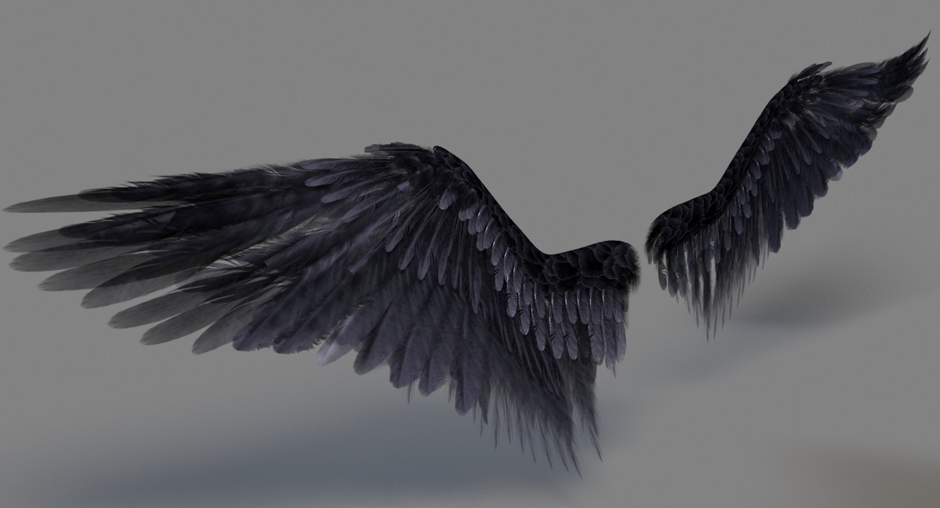 realistic wings 3d model