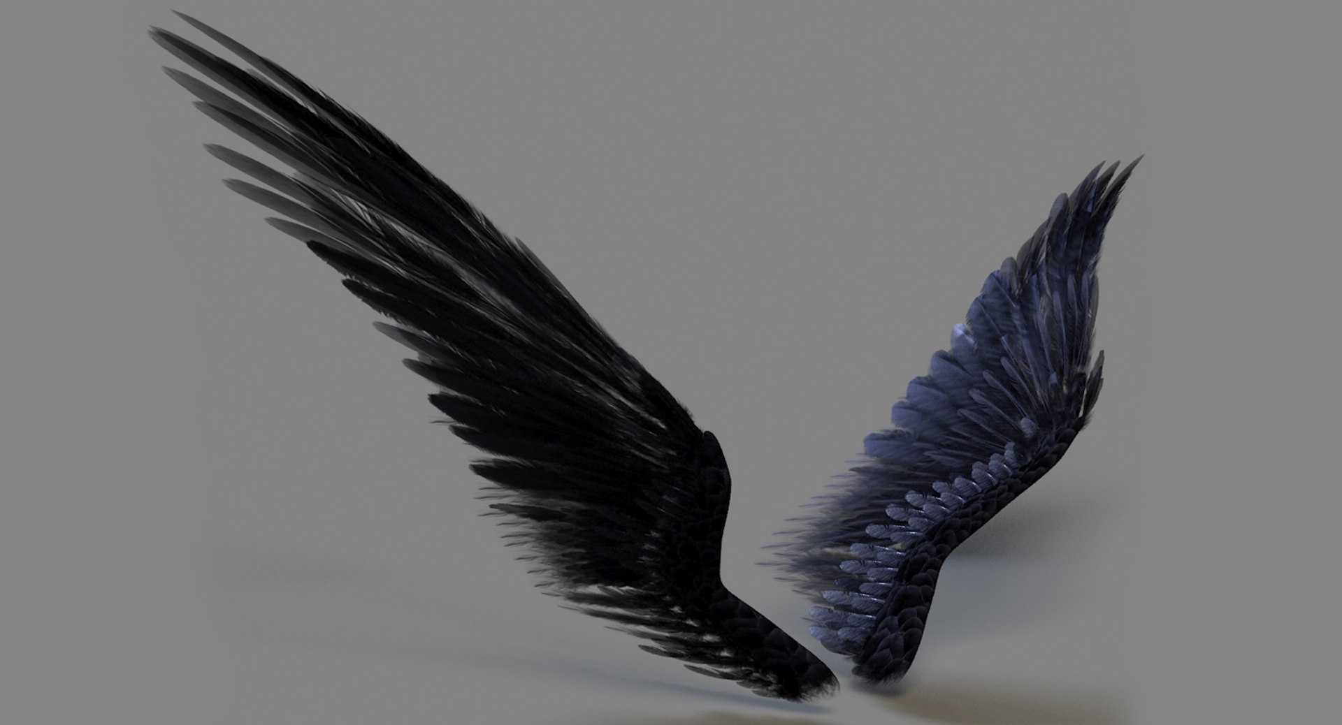 realistic wings 3d model