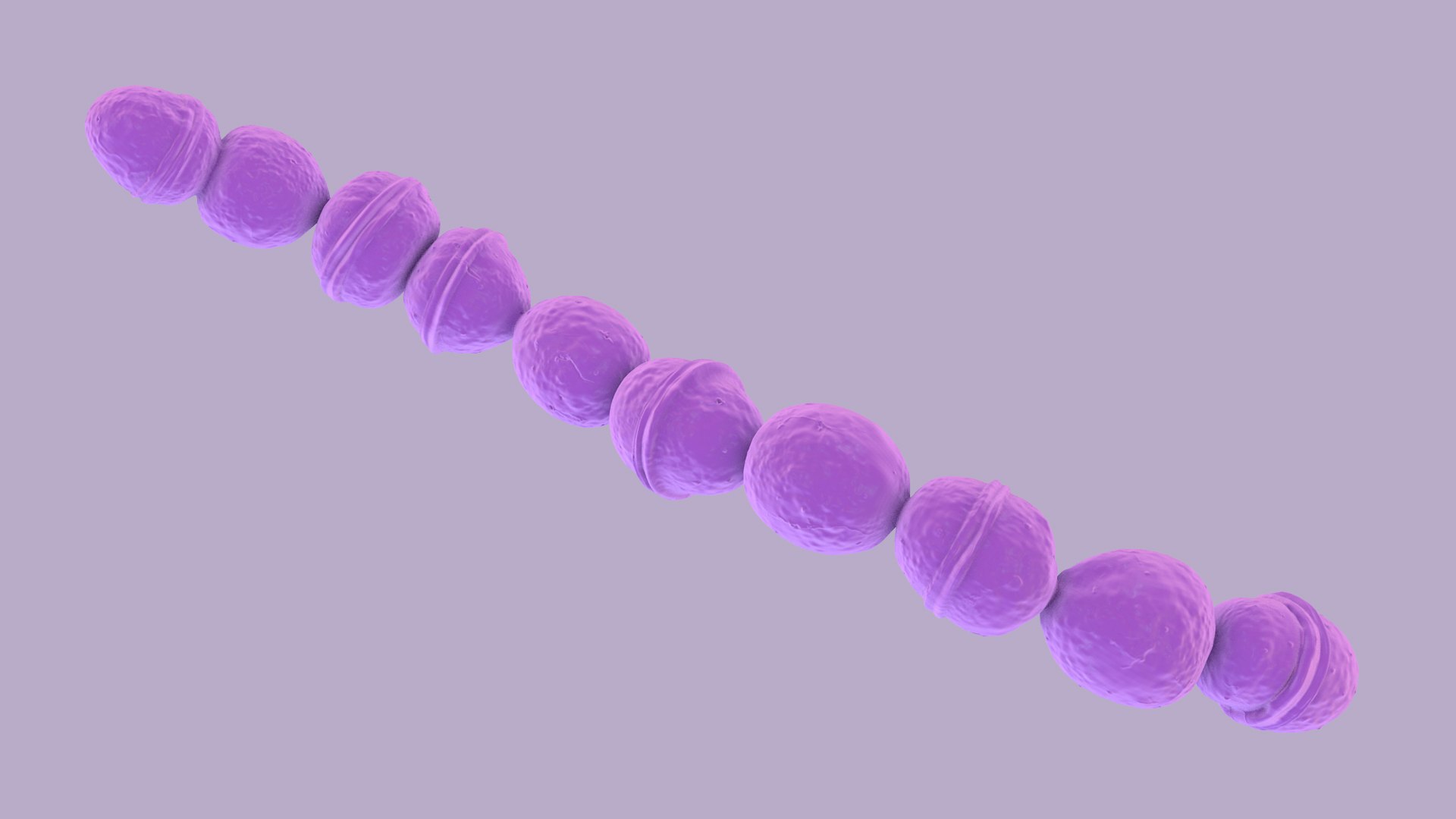 Streptococcus 3D model https://p.turbosquid.com/ts-thumb/XO/oAU64q/Gm/streptococcus_images_32/jpg/1775046939/1920x1080/fit_q87/d79ab91e03907e9f68ec0249053e55ec3b9b7cca/streptococcus_images_32.jpg