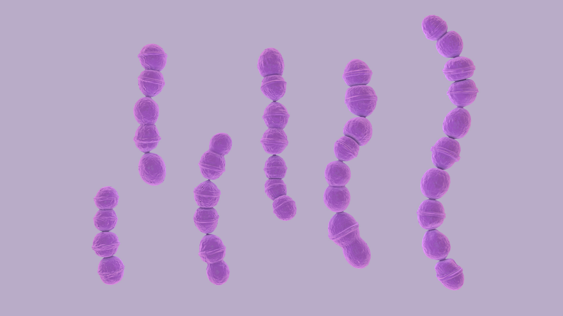 Streptococcus 3D model https://p.turbosquid.com/ts-thumb/XO/oAU64q/HO/streptococcus360/jpg/1775036696/1920x1080/turn_fit_q99/44fcd7e74f722acd9031c4b2bc22b4047ce42bc0/streptococcus360-1.jpg