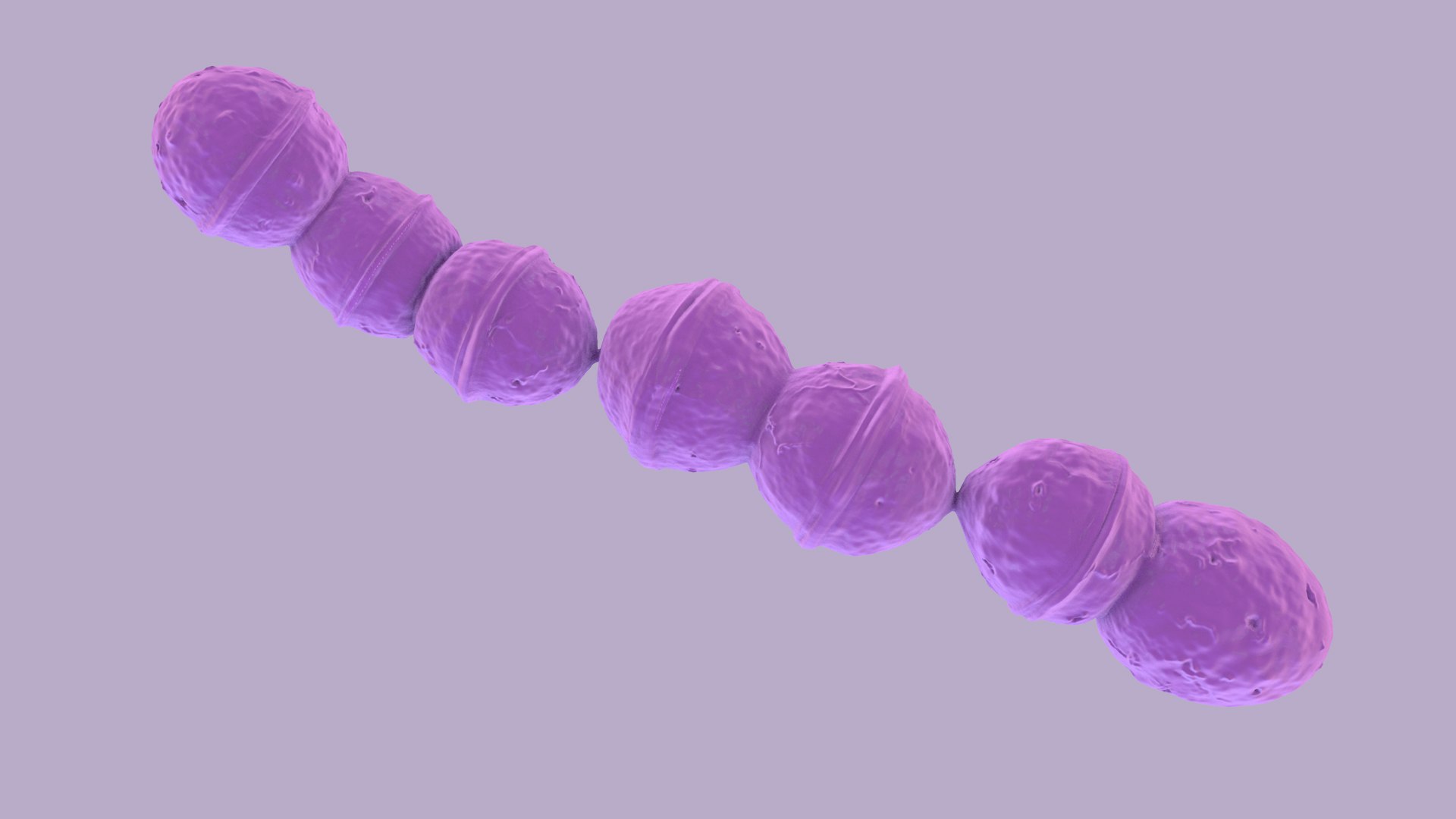 Streptococcus 3D model https://p.turbosquid.com/ts-thumb/XO/oAU64q/Vq/streptococcus_images_17/jpg/1775046930/1920x1080/fit_q87/75dc48533483673b1750f68a9b2cd2d1dd64f82e/streptococcus_images_17.jpg