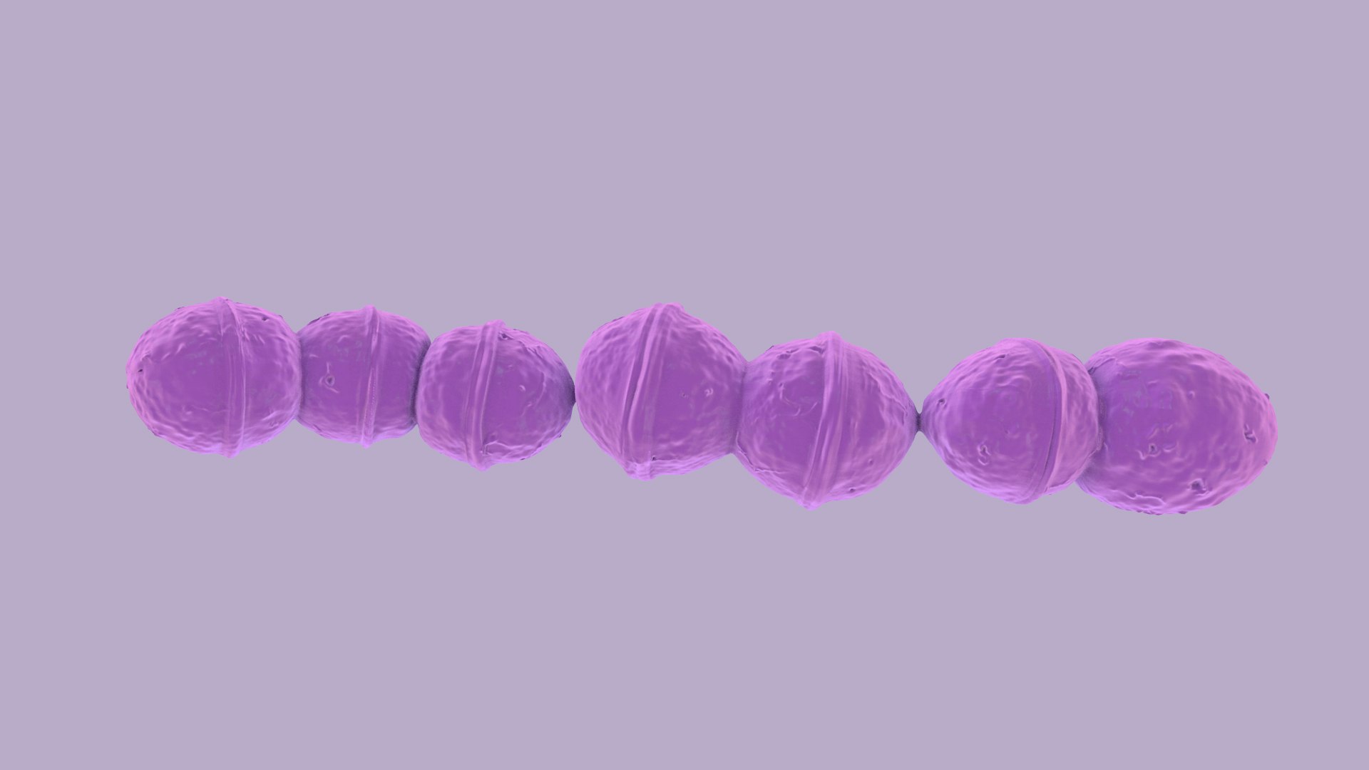 Streptococcus 3D model https://p.turbosquid.com/ts-thumb/XO/oAU64q/mM/streptococcus_images_15/jpg/1775046930/1920x1080/fit_q87/59910b6062a58db5f8a2dc18d6cba9d781088a29/streptococcus_images_15.jpg
