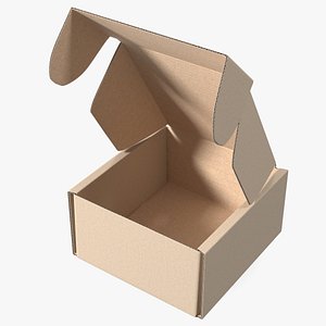 3D Cardboard Box Open