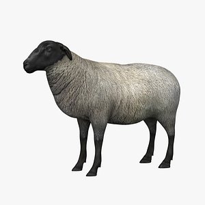sheep 3d 3ds