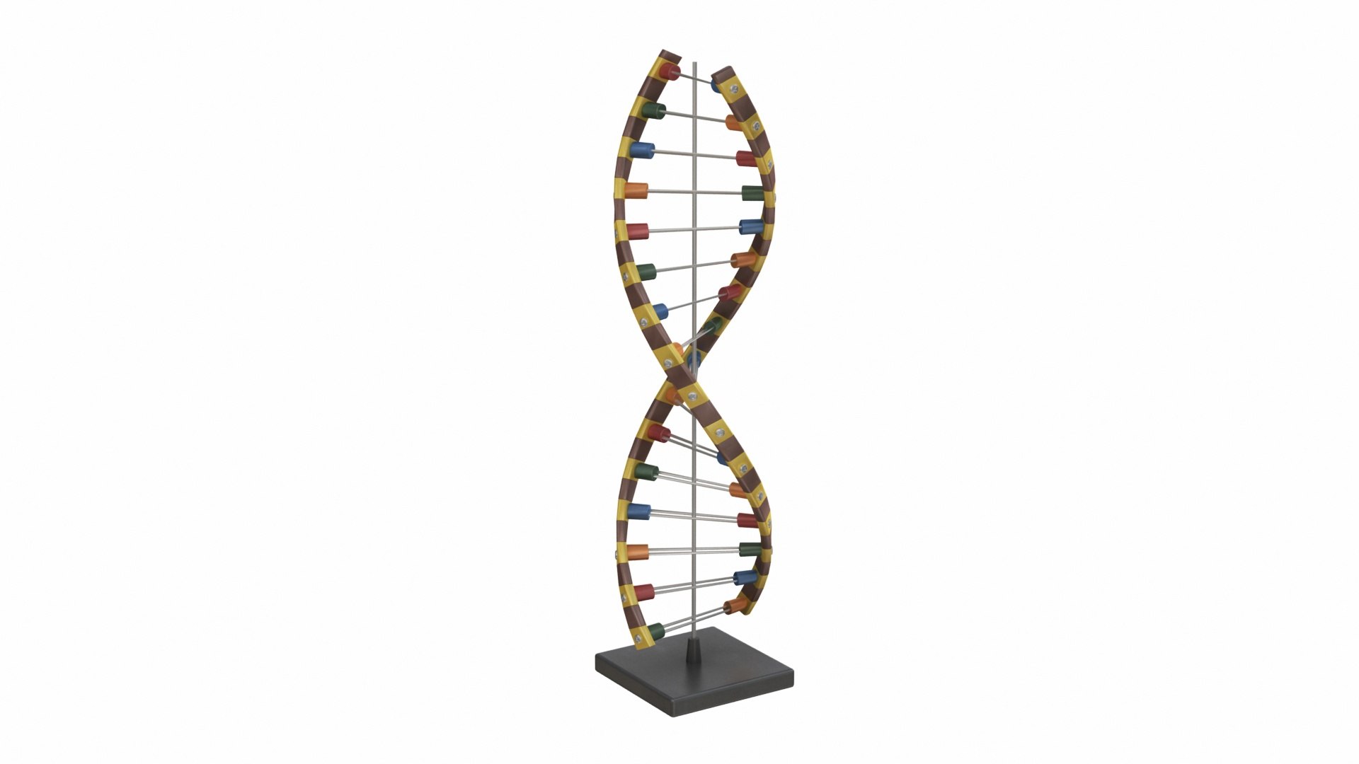 3D Education Dna and Molecule Model model https://p.turbosquid.com/ts-thumb/XP/J6ielw/KK/dna1/jpg/1756844975/1920x1080/fit_q87/6270b20e62e440638904abc5d0f47ae9007e4c2d/dna1.jpg