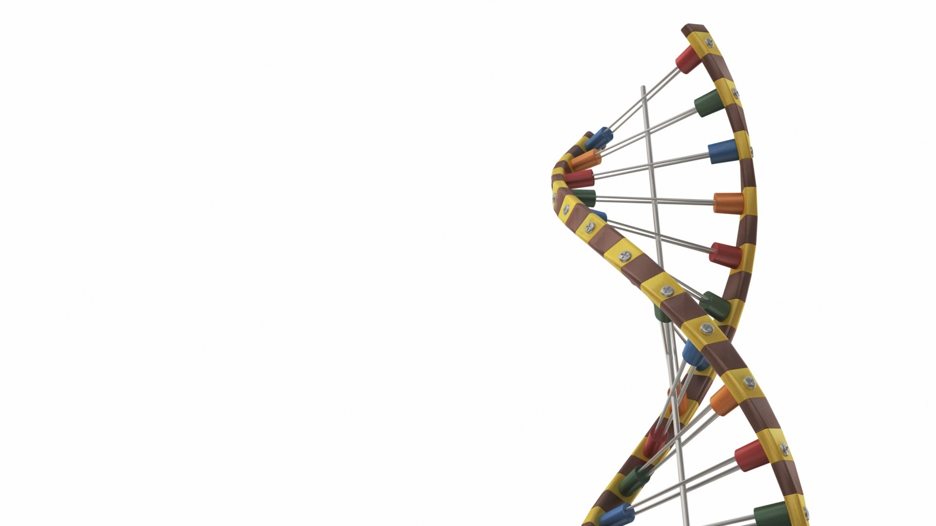 3D Education Dna and Molecule Model model https://p.turbosquid.com/ts-thumb/XP/J6ielw/dk/dna4/jpg/1756844977/1920x1080/fit_q87/051f471896bf46f5000424b010f8e46a91995864/dna4.jpg