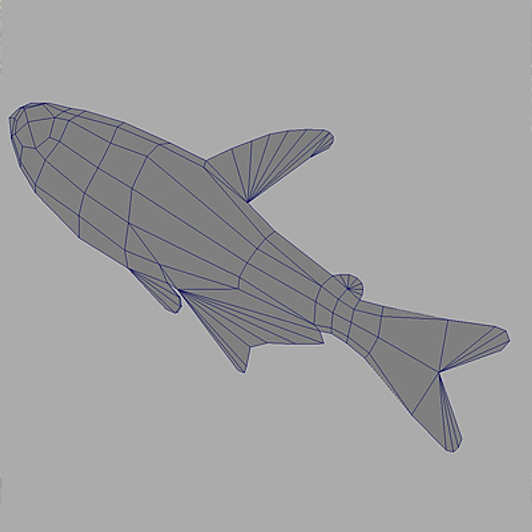 3d Fishes Neon Tetra Model