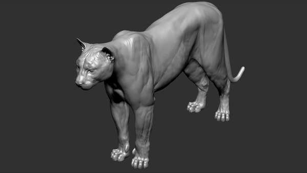 3D cougar vfx cinematic realistic - TurboSquid 1541964