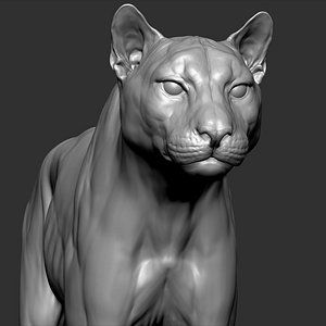 Cougar VFX Cinematic Realistic Zbrush Sculpt