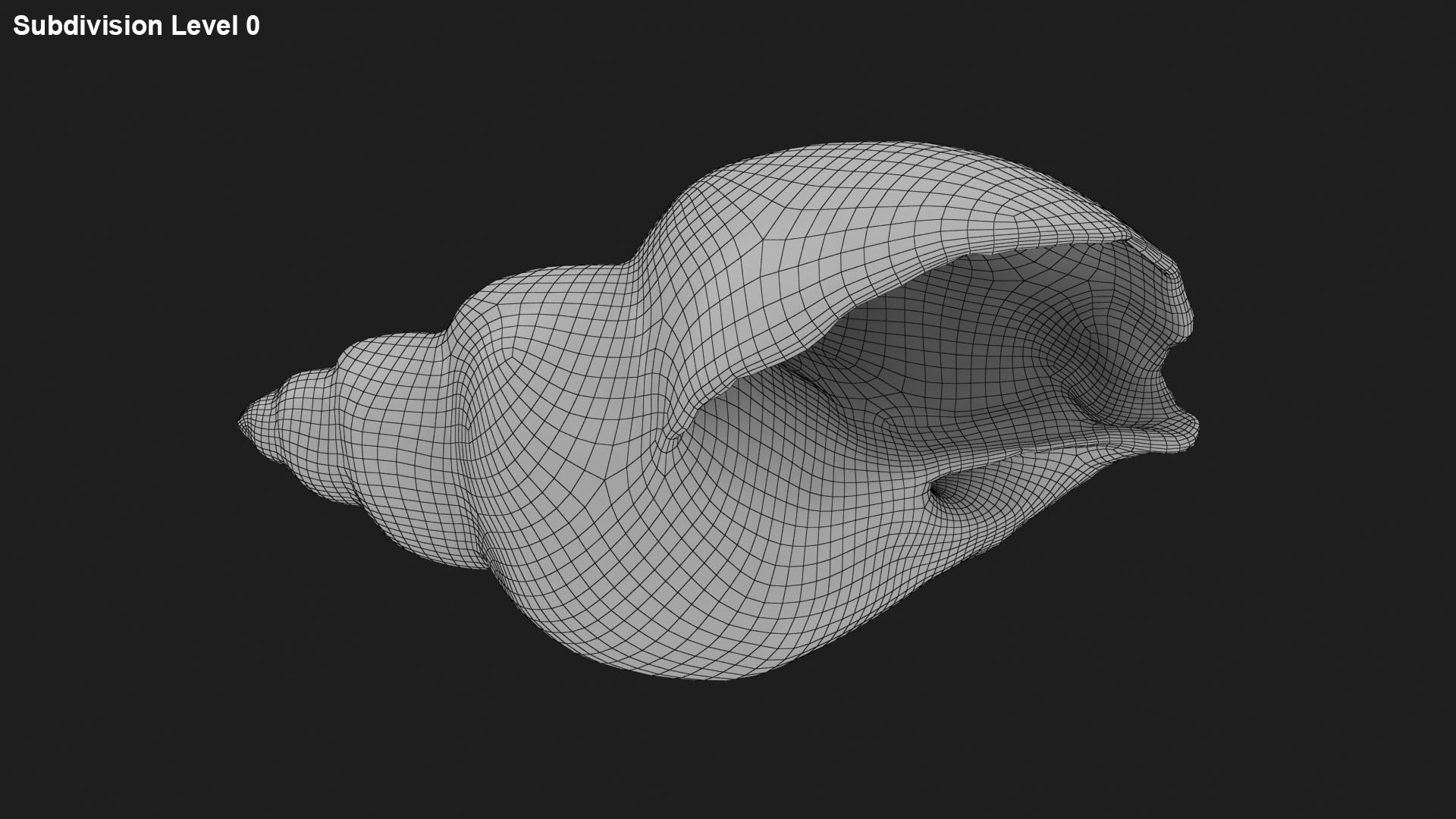 3D Sea Shell Collection 1 model https://p.turbosquid.com/ts-thumb/XP/SsoMQr/3X/babyloniaareolata_f0000/jpg/1697217831/1920x1080/fit_q87/c935e7ff8f38443aaa6c51e863d53ff96e50775e/babyloniaareolata_f0000.jpg