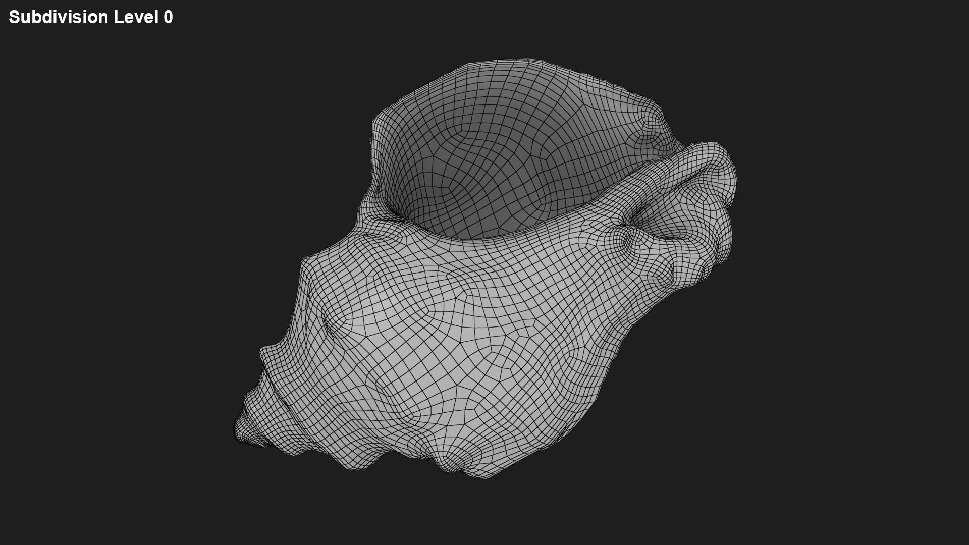 3D Sea Shell Collection 1 model https://p.turbosquid.com/ts-thumb/XP/SsoMQr/Rk/cockleshellgray_f0000/jpg/1697566182/1920x1080/fit_q87/3fe183738843e97ffa6a517a895d4d45ad9d29c4/cockleshellgray_f0000.jpg
