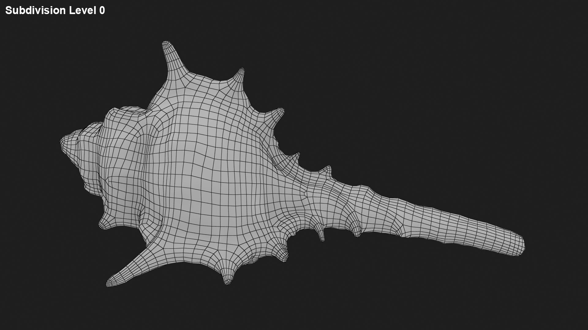 3D Sea Shell Collection 1 model https://p.turbosquid.com/ts-thumb/XP/SsoMQr/XJ/murexcarbonnieri_f0001/jpg/1690139383/1920x1080/fit_q87/4a7dfc8c2218cb88ea56b64c53dc6ecbc0684002/murexcarbonnieri_f0001.jpg
