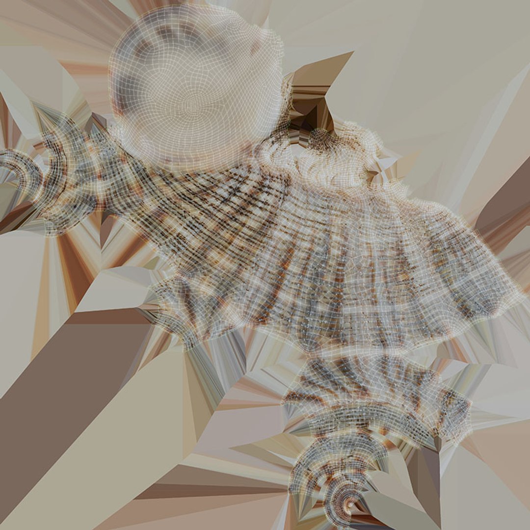 3D Sea Shell Collection 1 model https://p.turbosquid.com/ts-thumb/XP/SsoMQr/r7/cockleshellgray_d0004/jpg/1697566181/1920x1080/fit_q87/48ee7c3d48b553ab6736d7e689a69b7ac3a02969/cockleshellgray_d0004.jpg