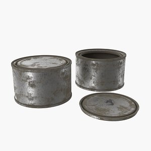 Dirty Tin 3D model
