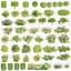 55 Bushes Collection-BlenderCycles