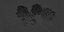 55 Bushes Collection-BlenderCycles