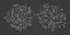 55 Bushes Collection-BlenderCycles
