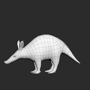 Aardvark Orycteropus afer
