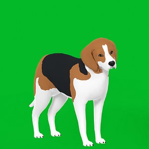 Beagle Stylized Dog