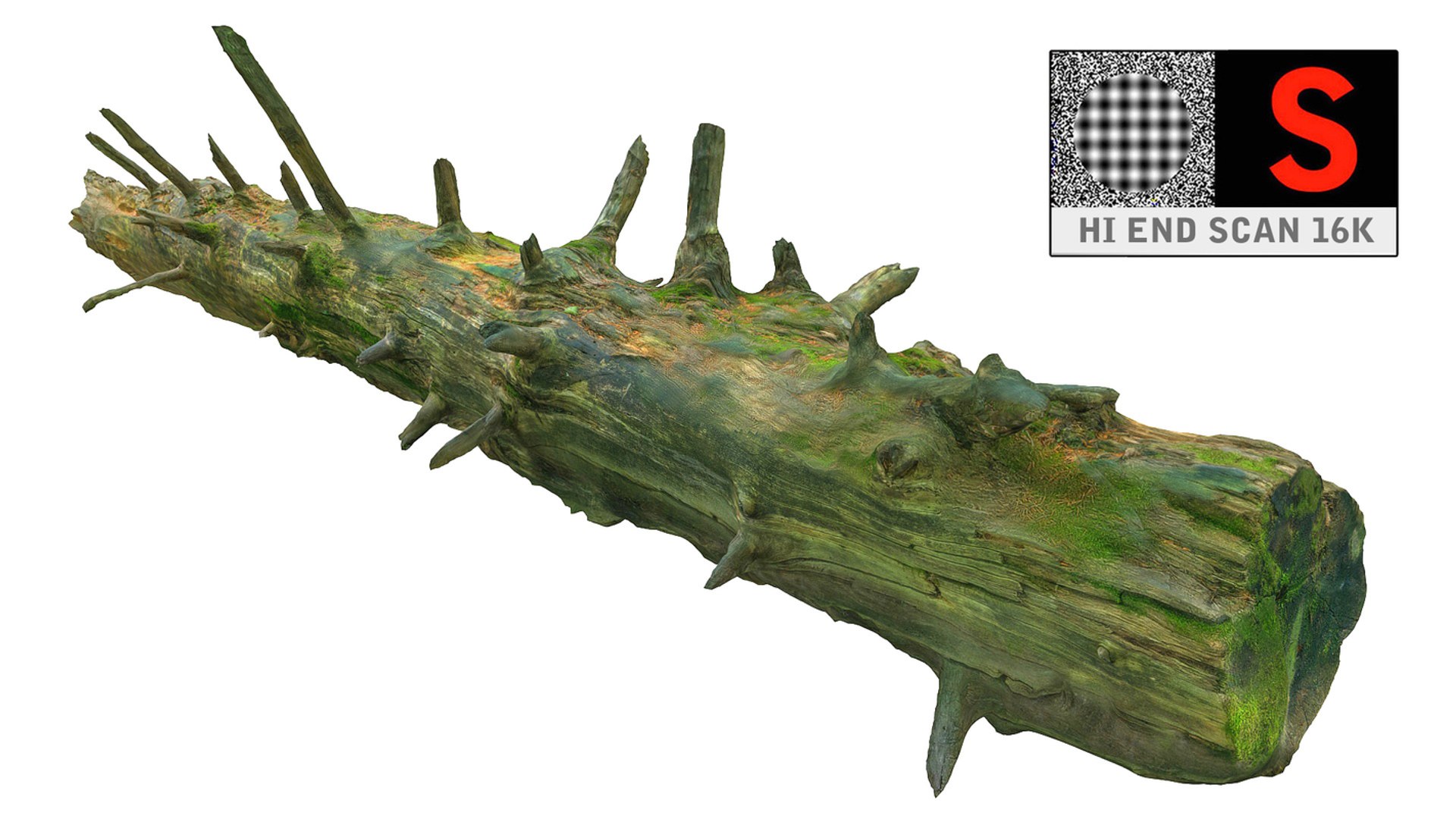 3D Logs Scan Pack - TurboSquid 1598192