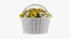 Flowers In Bucket And Bouquets Set
