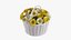 Flowers In Bucket And Bouquets Set