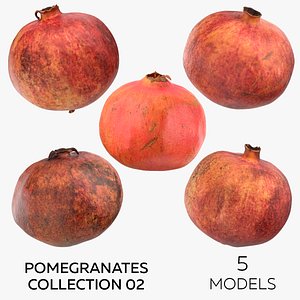 Pomegranates Collection 02 - 5 models model