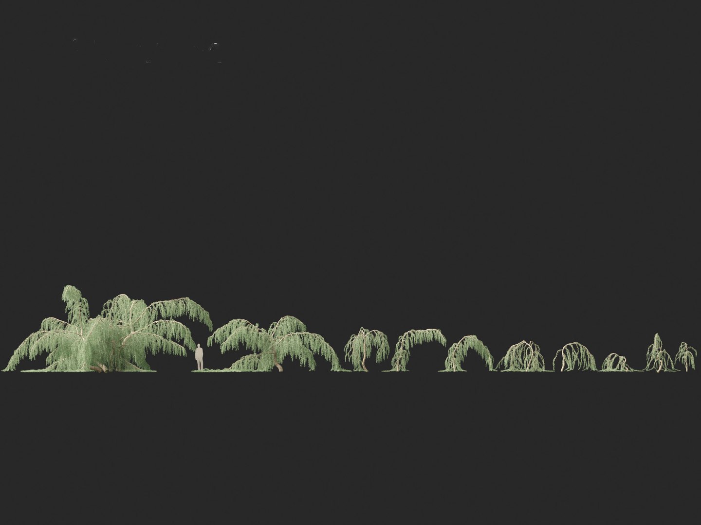 3D Cedrus atlantica Glauca Pendula - Atlas cedar model https://p.turbosquid.com/ts-thumb/XQ/4VAJmO/46/cedrusatlanticaglaucapendula012/jpg/1701832322/1920x1080/fit_q87/91a472ef02bba53f9551beb93182cbeb68bb113c/cedrusatlanticaglaucapendula012.jpg