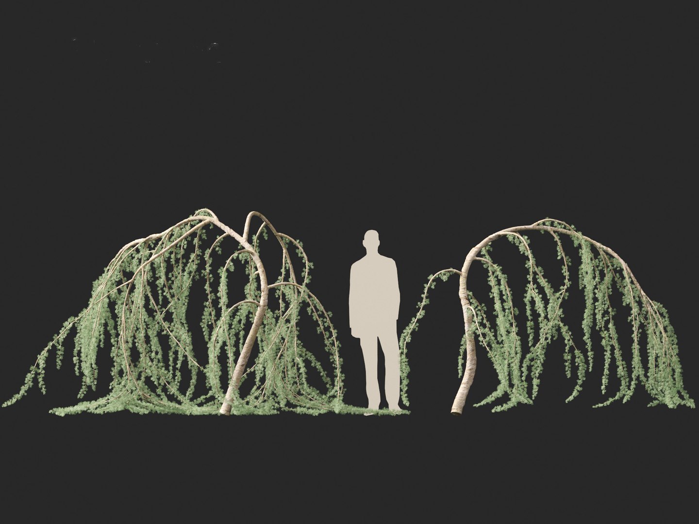 3D Cedrus atlantica Glauca Pendula - Atlas cedar model https://p.turbosquid.com/ts-thumb/XQ/4VAJmO/G7/cedrusatlanticaglaucapendula0110/jpg/1701832328/1920x1080/fit_q87/8e6f2245d726515bc4247d40033e4b4656460bd2/cedrusatlanticaglaucapendula0110.jpg