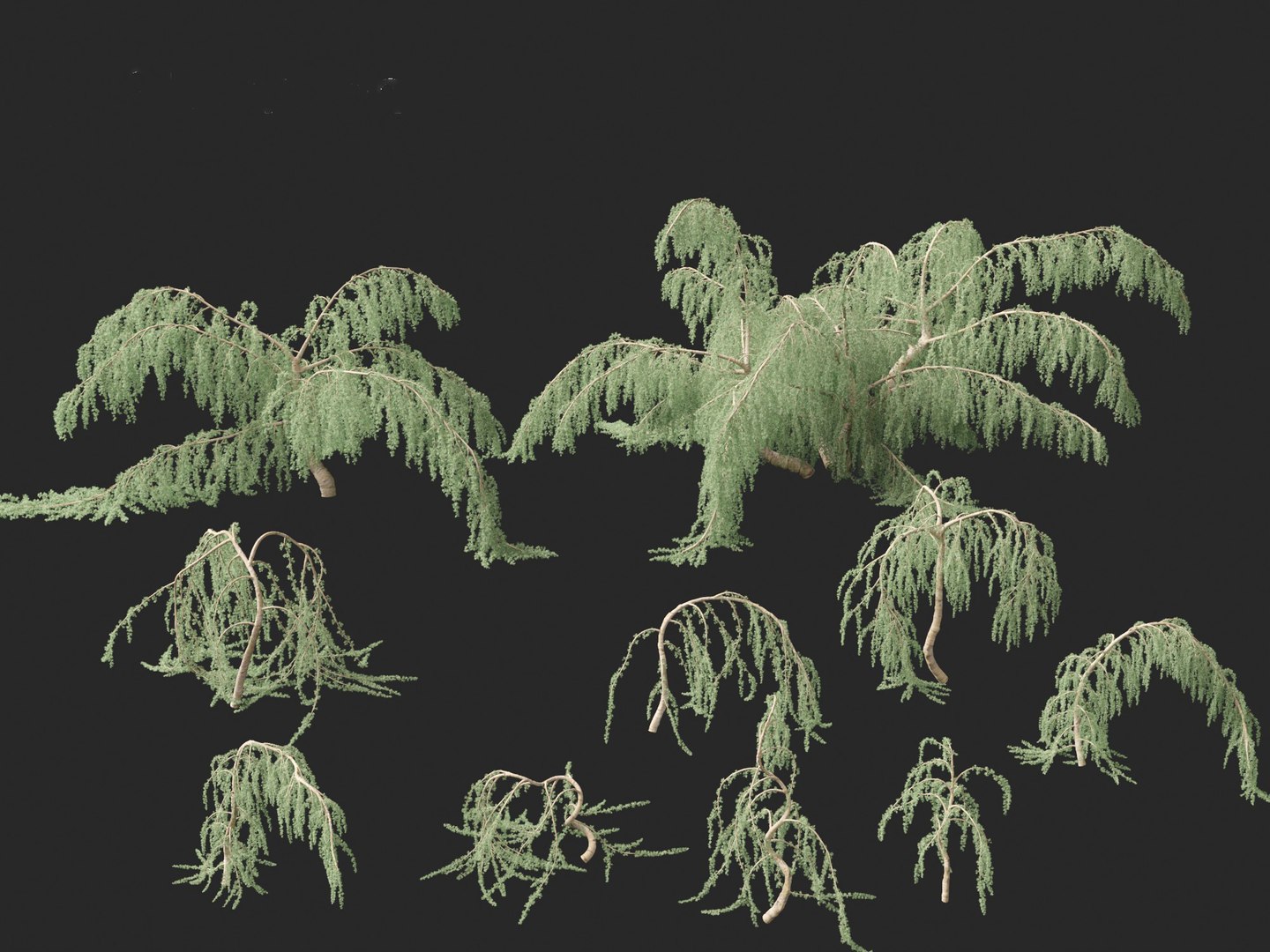 3D Cedrus atlantica Glauca Pendula - Atlas cedar model https://p.turbosquid.com/ts-thumb/XQ/4VAJmO/TO/cedrusatlanticaglaucapendula0114/jpg/1701832331/1920x1080/fit_q87/ea24e180cf41cc5b26923a0c9fe741613bb08f86/cedrusatlanticaglaucapendula0114.jpg