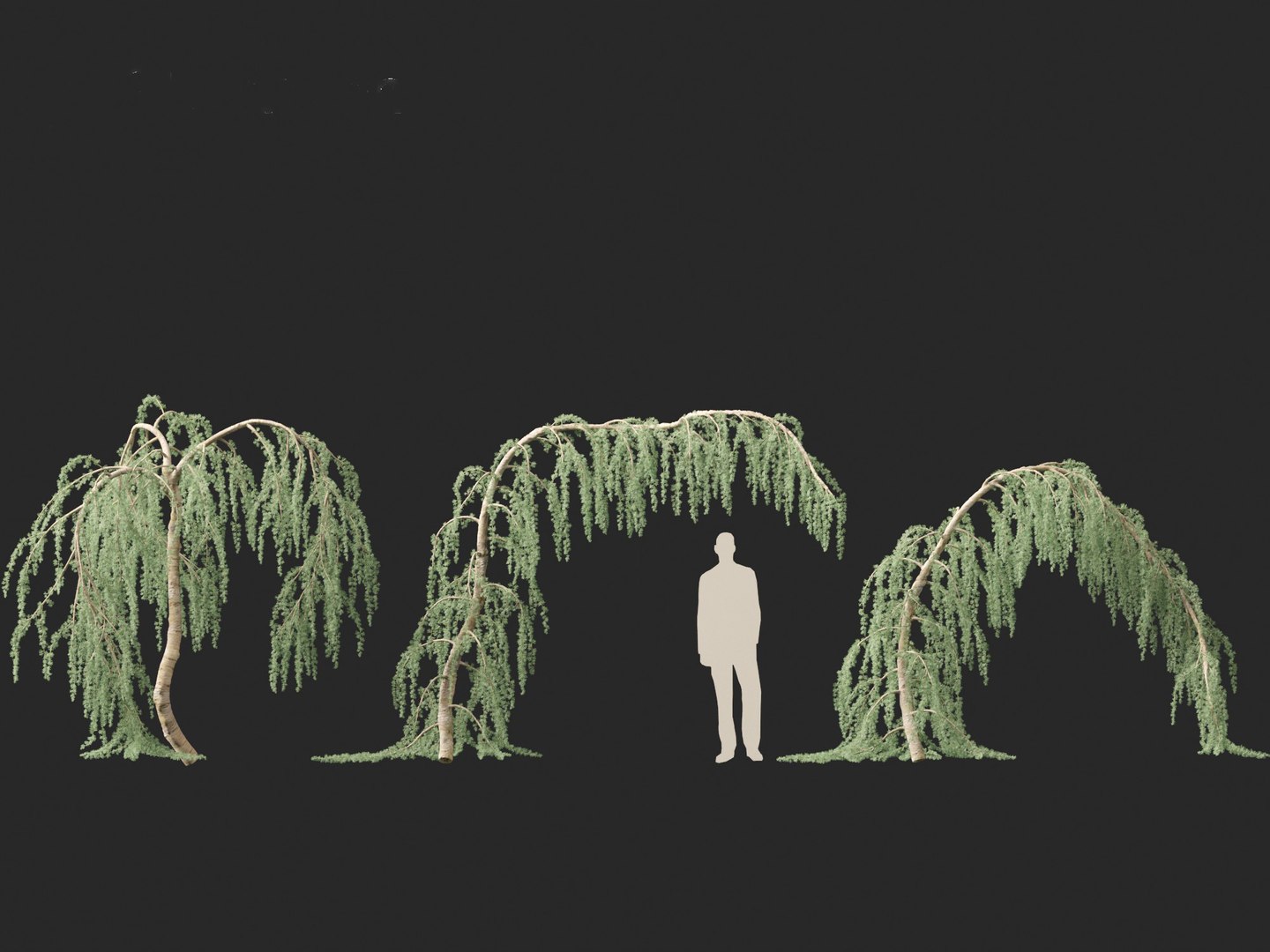 3D Cedrus atlantica Glauca Pendula - Atlas cedar model https://p.turbosquid.com/ts-thumb/XQ/4VAJmO/Yl/cedrusatlanticaglaucapendula018/jpg/1701832326/1920x1080/fit_q87/4983e6d1d27d1cd023469932326ed24847044d9c/cedrusatlanticaglaucapendula018.jpg