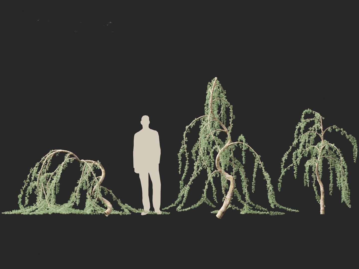3D Cedrus atlantica Glauca Pendula - Atlas cedar model https://p.turbosquid.com/ts-thumb/XQ/4VAJmO/tw/cedrusatlanticaglaucapendula0112/jpg/1701832329/1920x1080/fit_q87/138b4291dcce18086365e54ec7c2fad5b329dac2/cedrusatlanticaglaucapendula0112.jpg