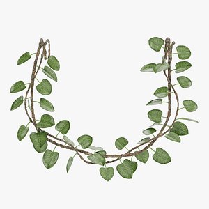 Liana Plant 3