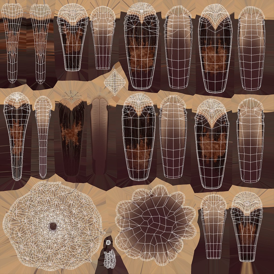 3D Opened Pine Cone Brown model https://p.turbosquid.com/ts-thumb/XQ/E46KYM/1l/opened_pine_cone_brown_011/jpg/1771391617/1920x1080/fit_q87/9d3f2fa5ad0d6109674b15e0afa4bbfe1e328039/opened_pine_cone_brown_011.jpg