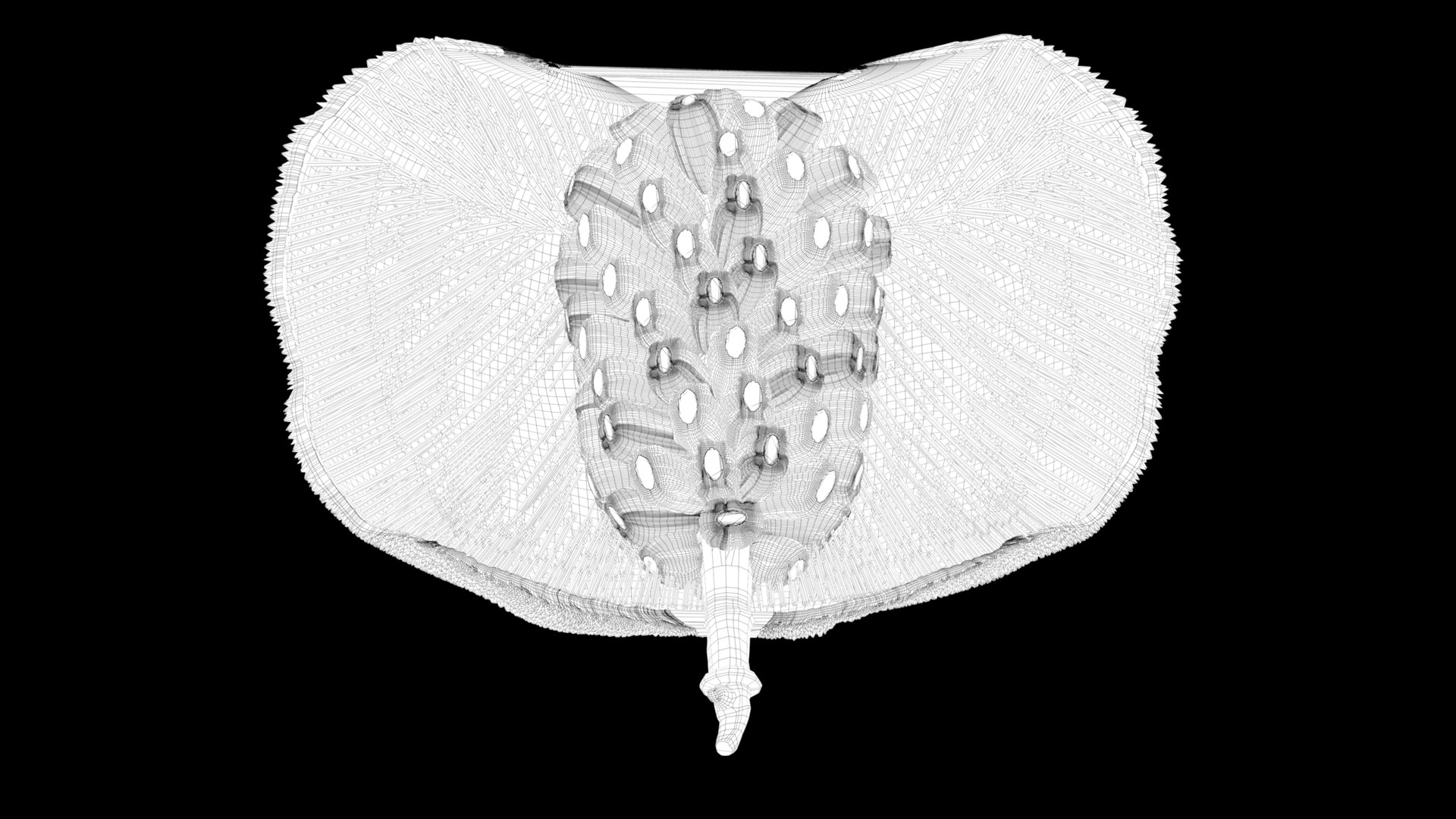 3D jackfruit fruit jack https://p.turbosquid.com/ts-thumb/XQ/HaOhu9/1E/wf3/jpg/1657712625/1920x1080/fit_q87/b92e0df403dee3670968354c4b8acbb0c9471d2e/wf3.jpg