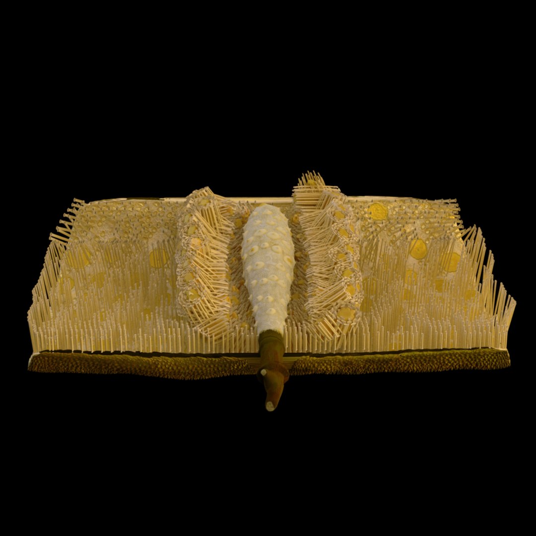 3D jackfruit fruit jack https://p.turbosquid.com/ts-thumb/XQ/HaOhu9/1r/jaqqa20/jpg/1657712537/1920x1080/fit_q87/62d2ed200480202150462cc7db8d233fb19e6fb0/jaqqa20.jpg