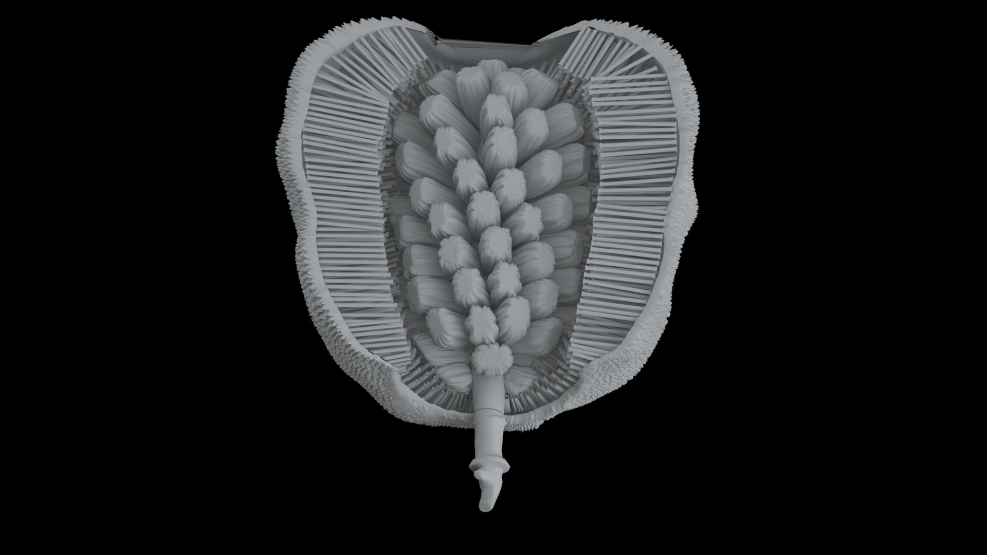 3D jackfruit fruit jack https://p.turbosquid.com/ts-thumb/XQ/HaOhu9/SW/greyscal3/jpg/1657712618/1920x1080/fit_q87/ac8607e13f0feef6dc9098a2b6433d32f00c21ed/greyscal3.jpg