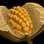 jackfruit
