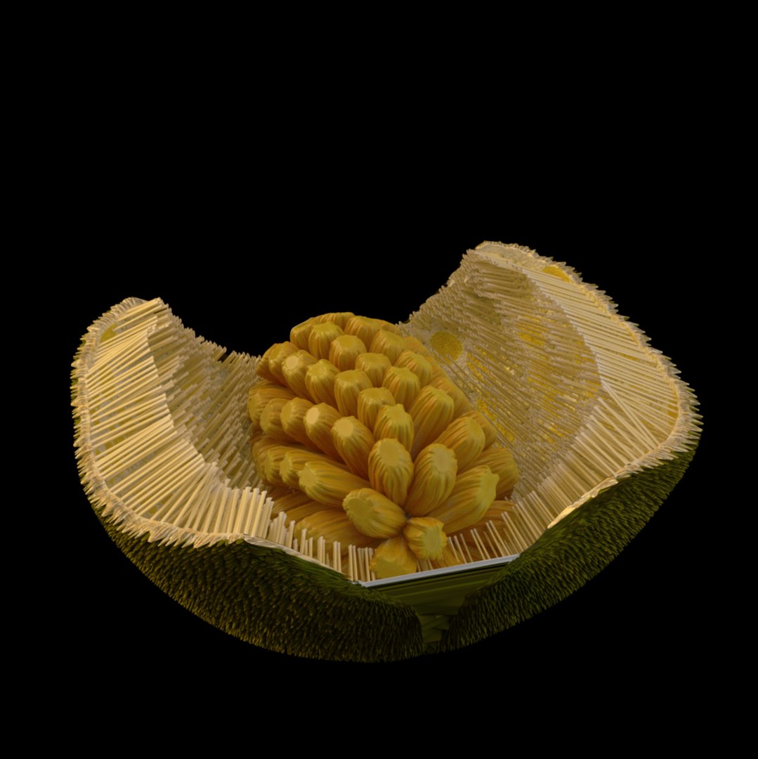 3D jackfruit fruit jack https://p.turbosquid.com/ts-thumb/XQ/HaOhu9/XW/jaqqa2/jpg/1657712576/1920x1080/fit_q87/50b8439e776b384916901f203eecc801ea4600bb/jaqqa2.jpg