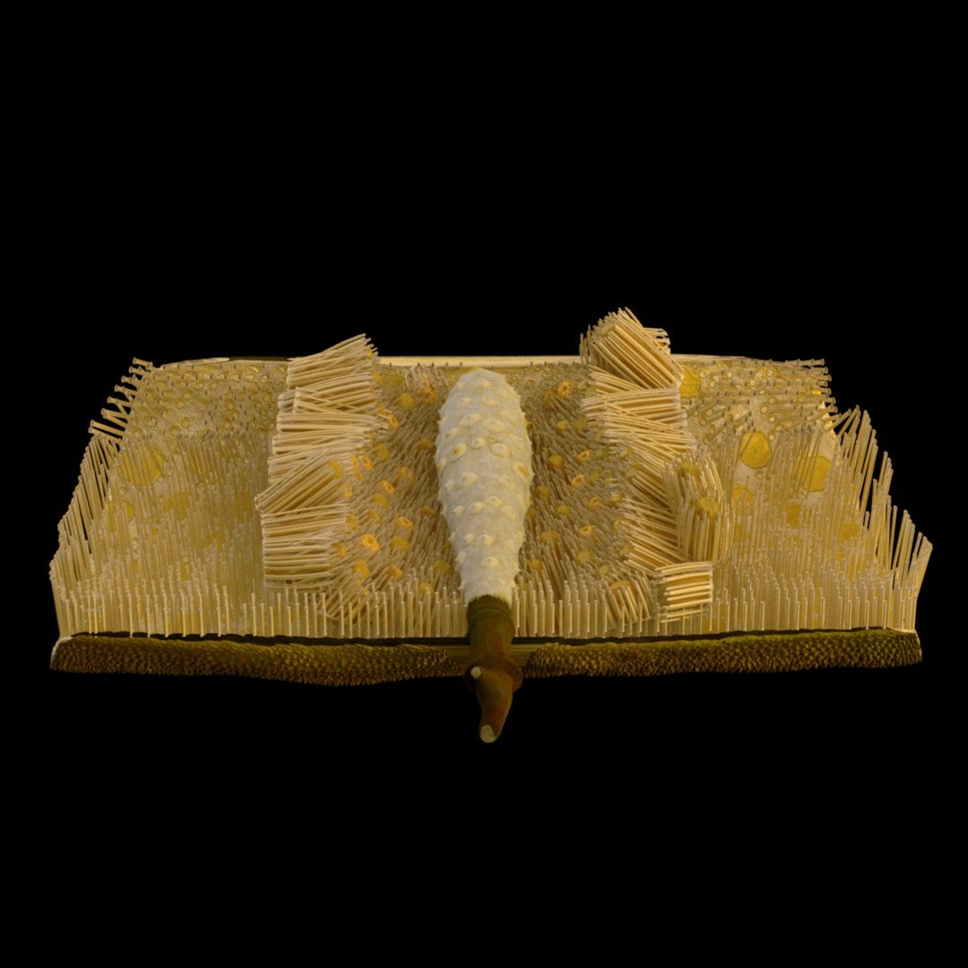 3D jackfruit fruit jack https://p.turbosquid.com/ts-thumb/XQ/HaOhu9/fy/jaqqa19/jpg/1657712536/1920x1080/fit_q87/9b9df3fb26739dd07a353b780c7bab44345ea667/jaqqa19.jpg