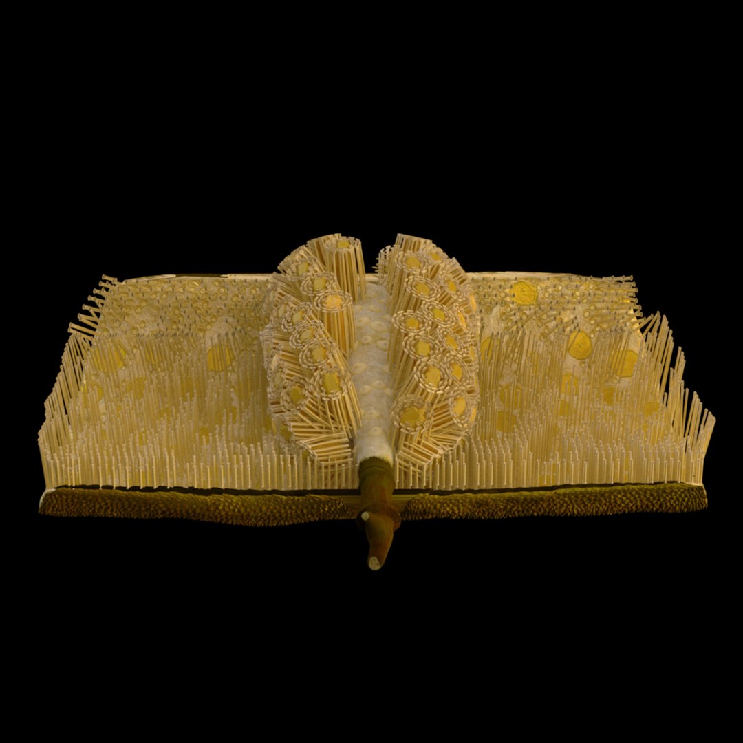 3D jackfruit fruit jack https://p.turbosquid.com/ts-thumb/XQ/HaOhu9/pD/jaqqa21/jpg/1657712539/1920x1080/fit_q87/794a384a970c23f9548716f3c3a7fff4a7f527ec/jaqqa21.jpg