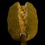 jackfruit