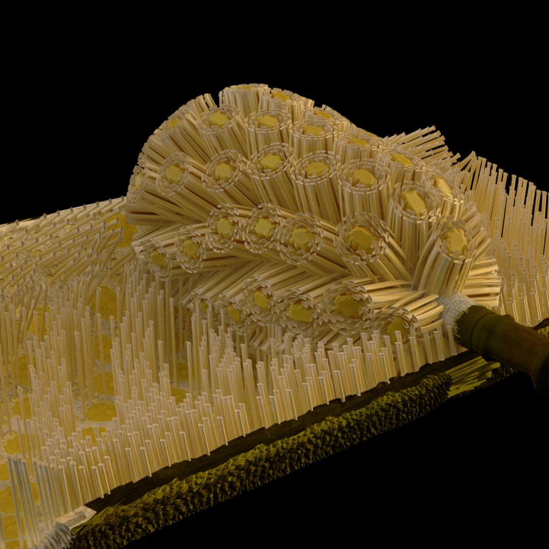 3D jackfruit fruit jack https://p.turbosquid.com/ts-thumb/XQ/HaOhu9/ps/jaqqa4/jpg/1657712576/1920x1080/fit_q87/56ced7602d7c7656435c7f44d8db6f80ac99f3de/jaqqa4.jpg