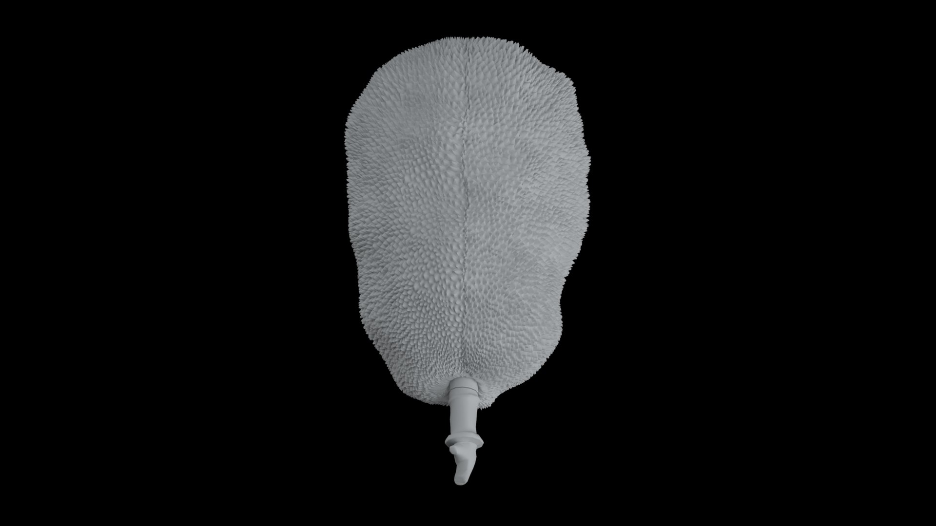 3D jackfruit fruit jack https://p.turbosquid.com/ts-thumb/XQ/HaOhu9/z2/greyscal1/jpg/1657712618/1920x1080/fit_q87/bd353766fb64b804cb4133397e7cac8c1f9f5cf9/greyscal1.jpg