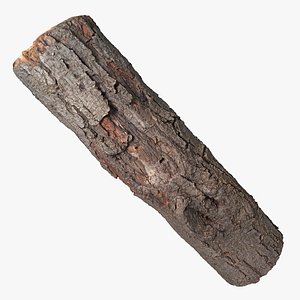 3D Tree Bark Scanned 7