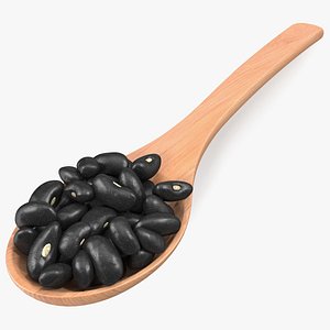 Black Turtle Beans in Wooden Spoon