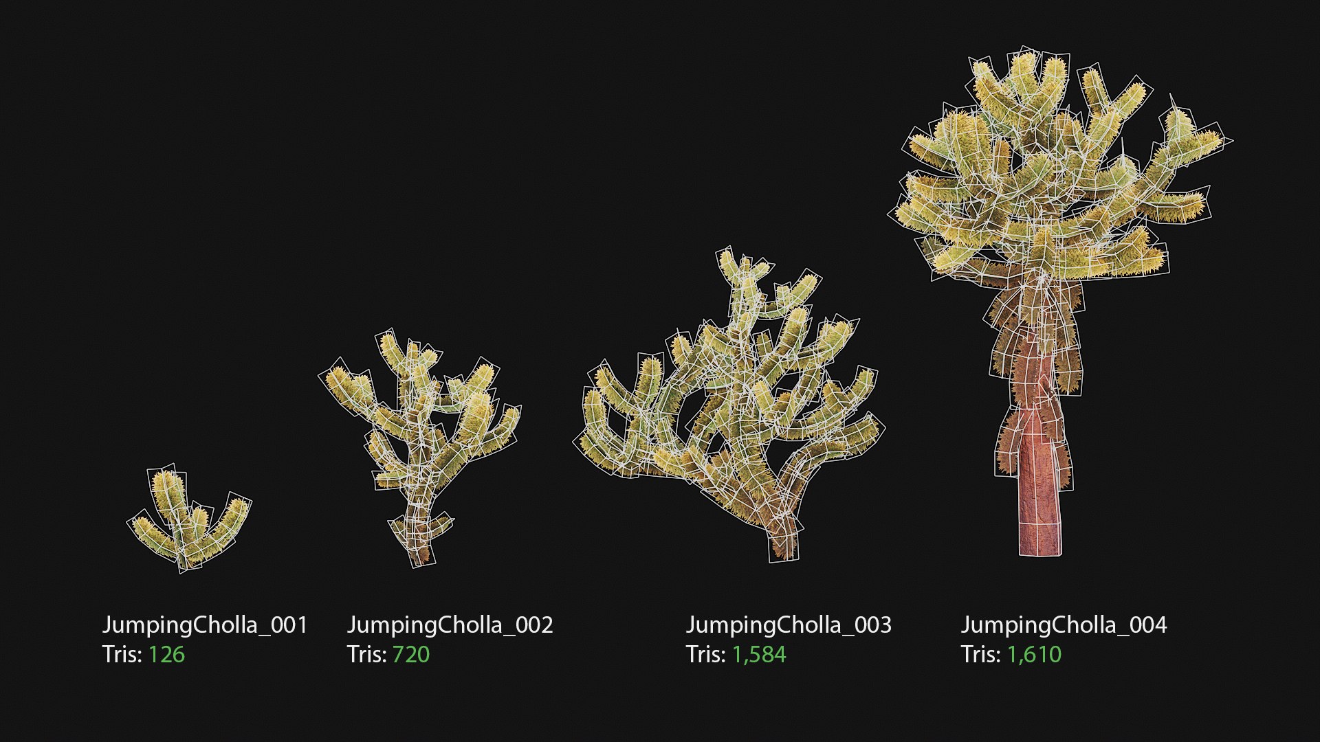 3D model Jumping cholla https://p.turbosquid.com/ts-thumb/XQ/gED8lP/8N/jumpingcholla_polycount/jpg/1737554024/1920x1080/fit_q87/5e3c190ad2eae432bcf3cded314af78b8a70e1f7/jumpingcholla_polycount.jpg